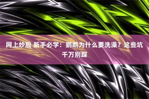 网上炒股 新手必学：鹦鹉为什么要洗澡？这些坑千万别踩
