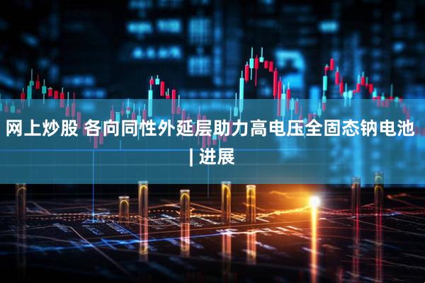 网上炒股 各向同性外延层助力高电压全固态钠电池 | 进展
